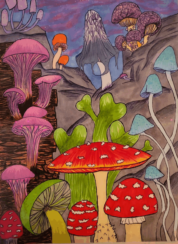 Prints by 💜 ✨cyns._.closet✨ 🍄 - Image 11