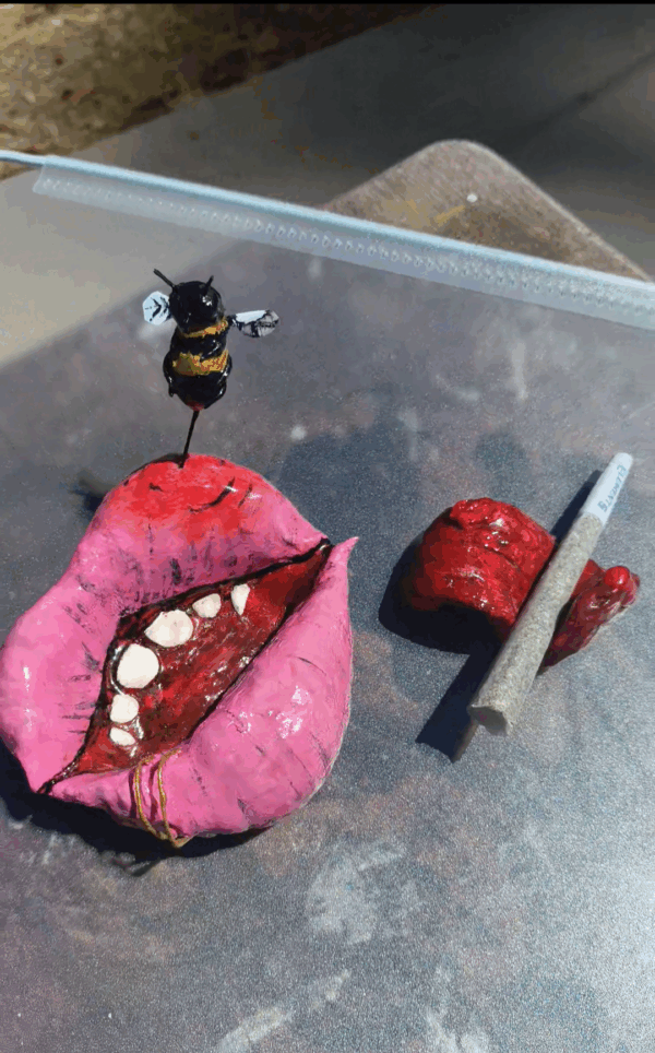 "Bee-utifully Thiccc 🐝" - Trashy Lips in Pink 🩷